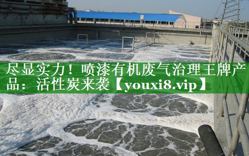 尽显实力！喷漆有机废气治理王牌产品：活性炭来袭