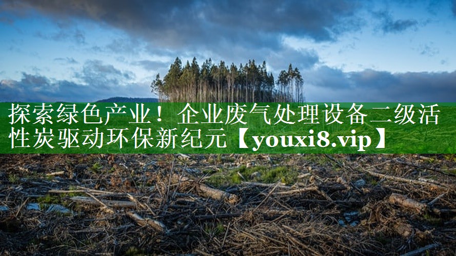 探索绿色产业！企业废气处理设备二级活性炭驱动环保新纪元