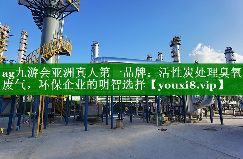 活性炭处理臭氧废气，环保企业的明智选择