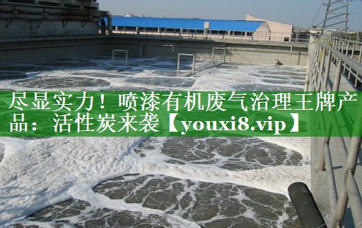 尽显实力！喷漆有机废气治理王牌产品：活性炭来袭