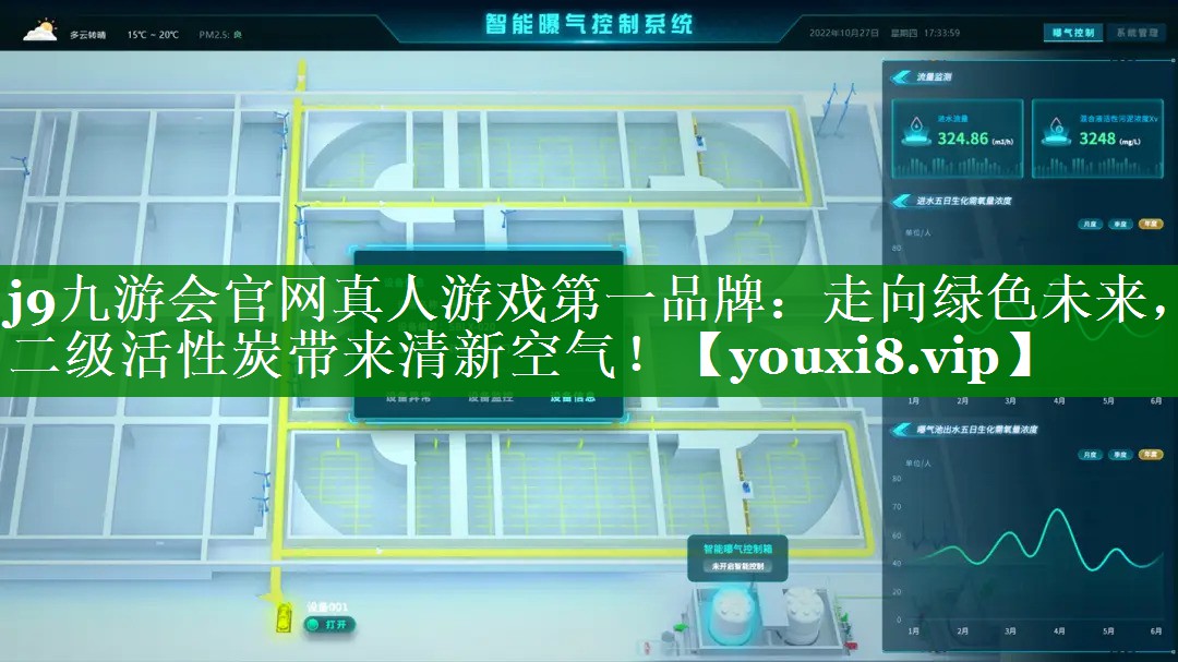 走向绿色未来，二级活性炭带来清新空气！