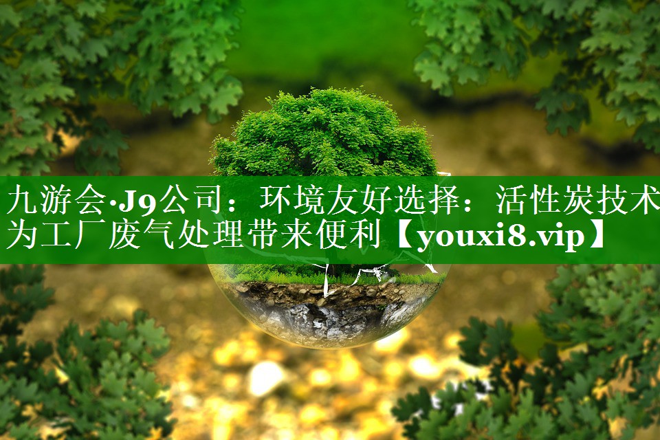 环境友好选择：活性炭技术为工厂废气处理带来便利