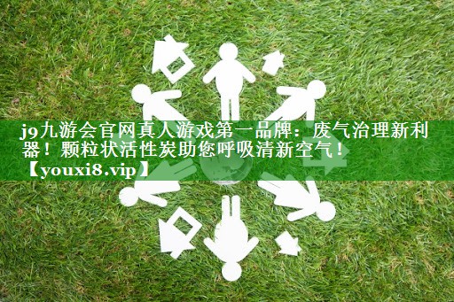 废气治理新利器！颗粒状活性炭助您呼吸清新空气！